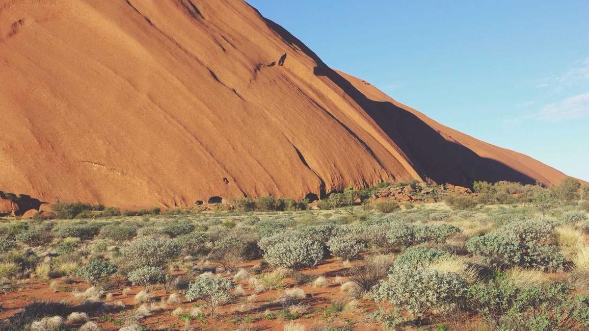 如果是一名外科医生，下班后或许有长达一小时的“净手”沉思仪式