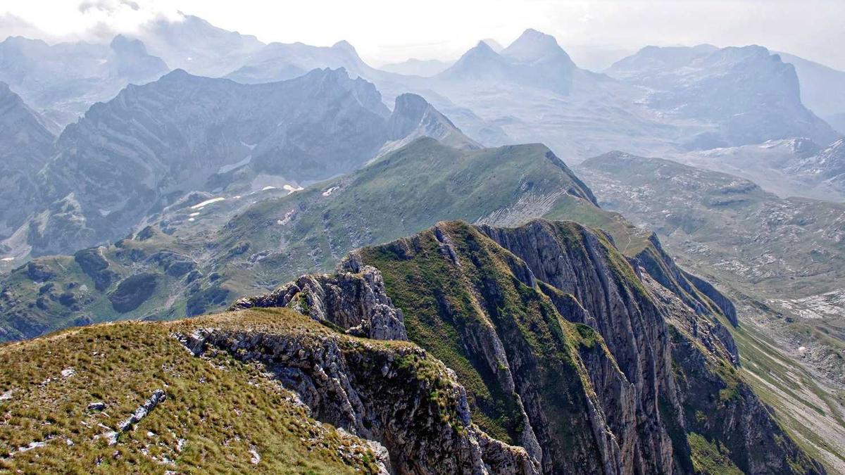 超市条形码扫描仪的快感：每一次成功的“嘀”声都是对秩序的确认